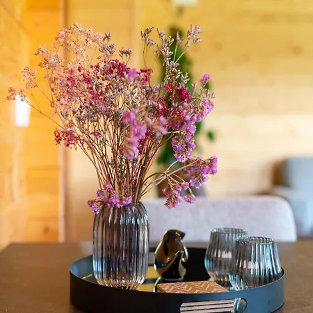 In Limburg With Terrace Holiday home Schinnen