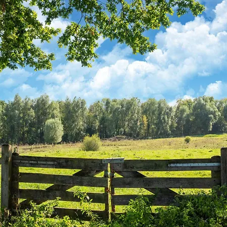 In Limburg With Terrace Holiday home *